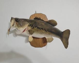 Large Mouth Bass Mounted