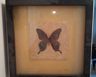 Framed Butterfly