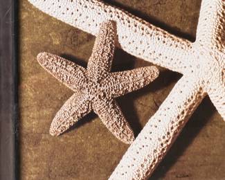STARFISH FRAMED WALL ART COASTAL ART BEACH THEME