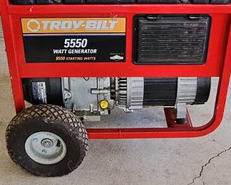 Troy-Bilt 5550 Watt Generator
