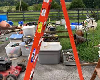 Werner 6 ft. Fiberglass Step Ladder