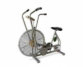 Schwinn Airdyne AD4 Exercise Bike