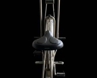 Schwinn AirDyne AD4 Stationary Exercise Bike