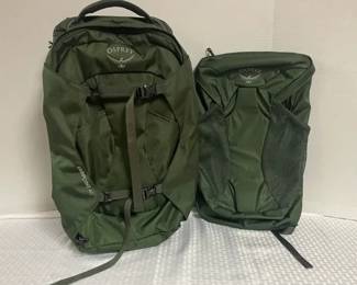 Osprey Brand Travel Backpack