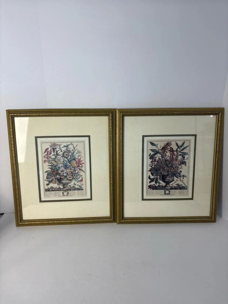 001 pairof165x145framedfloralbotanica