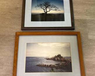 249 framedlighthousetreelandscapephotogr