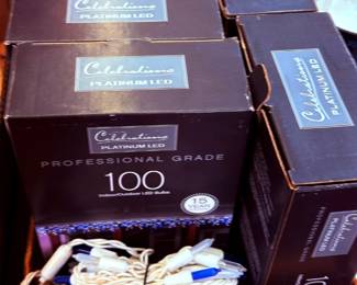 LED Holiday Lights String of 100 Professional Lights (6)