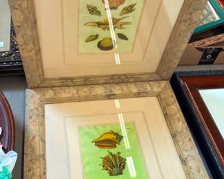 Framed Prints