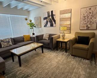 Wayfair Rug 9X12