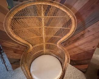 Buy It Now- Fan Chair- $60