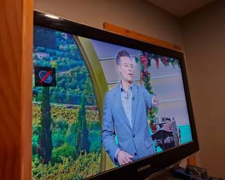 Samsung Widescreen Flat-Panel LCD Television with Black Frame