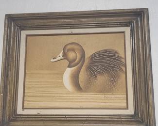 Duck