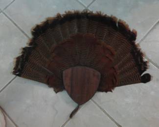 Turkey Feather Fan Tail & Beard