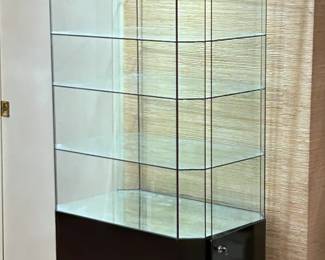 VINTAGE HUMMEL DISPLAY CABINET