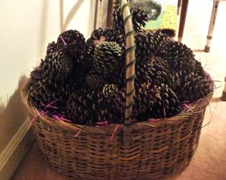 pine cones
