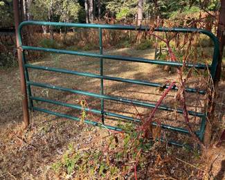 Metal gate