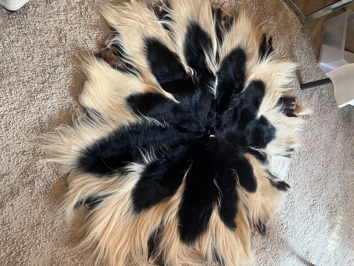 Vintage Colobus Monkey Rug