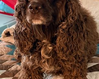 Tator Tot - our mascot