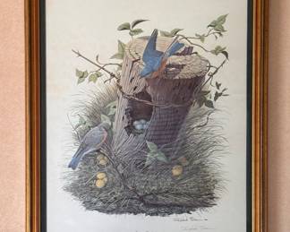 Eastern Bluebird Signed Richard Sloan Lithograph from the1968 Griggsville Wild Bird Society. Measures 24" W x 40" H Overall. Photo 1 of 3.