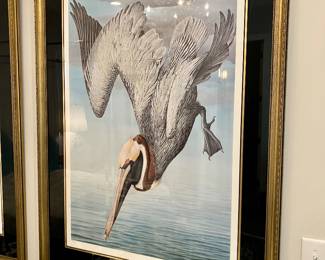 Signed “Brown Pelican” lithograph by Basil Ede