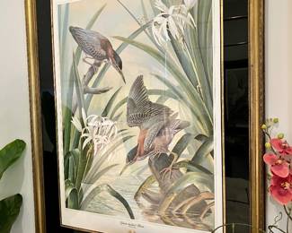 Signed “Green Backed Heron” lithograph by Basil Ede