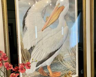 Signed “White Pelican” lithograph by Basil Ede