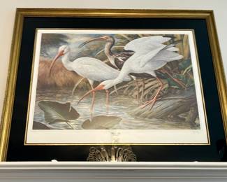Signed "White Ibis" lithograph by Basil Ede
