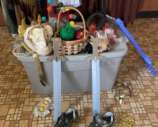 Costume Accessories
