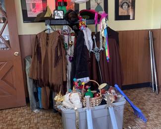 Costumes and Costume Accessories