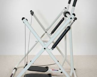 Gazelle Freestyle Glider Style Exercise Machine