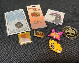 pins, coins, button covers