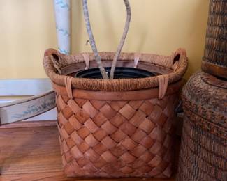 6ft Dracaena fragrans plant with woven basket