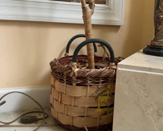 9ft Warneckii Dracaena with Woven Basket