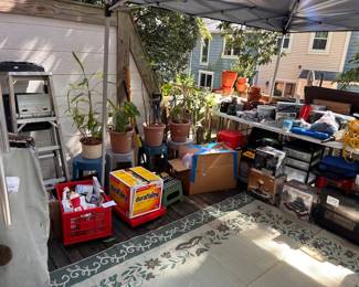 Assorted plants and tools