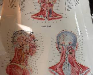 Lots of acupuncture posters