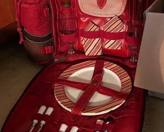 Fun travel picnic backpack