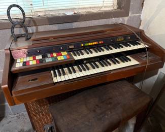 organ