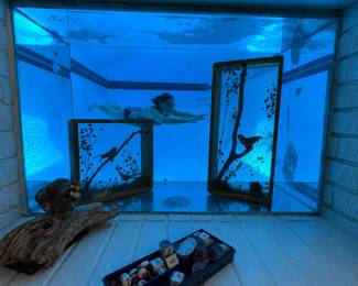Game room basement window looking thru to the indoor swimming pool