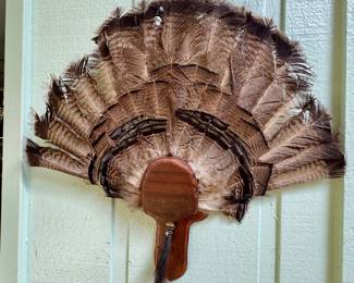 Turkey taxidermy