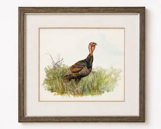 framed watercolor painting of a wild turkey