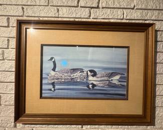 Vintage art print depicting Canada geese with goslings resting on calm water.
