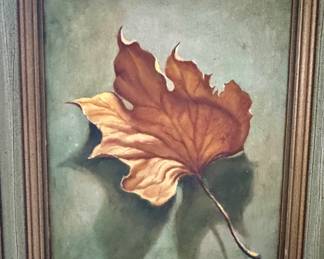 Fall foliage beauty