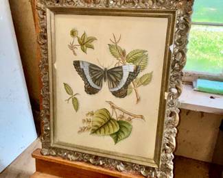 Antique Butterfly Print