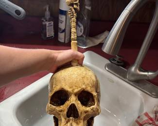 this is a fun toilet brush set, nice quality too. skull skeleton head
