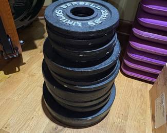 Standard 2.5 Lbs Cast Iron Weight Plates