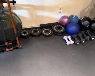 VTX Home Gym Weight Equipment Lot