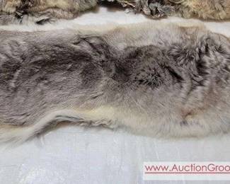 28 Chinchilla Pelts