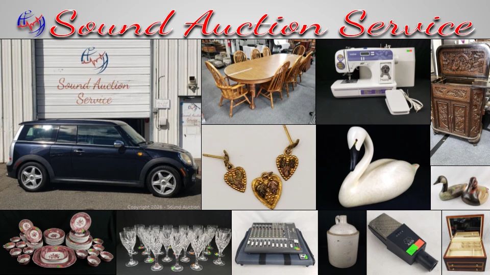 SAS Mini Cooper, Ducks Unlimited Decoy Online Auction