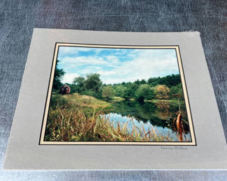 Lot 101: Serenity landscape photograph by Louise McGee 14" x 11"