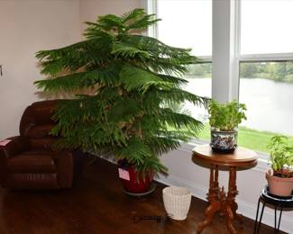 049Living Room